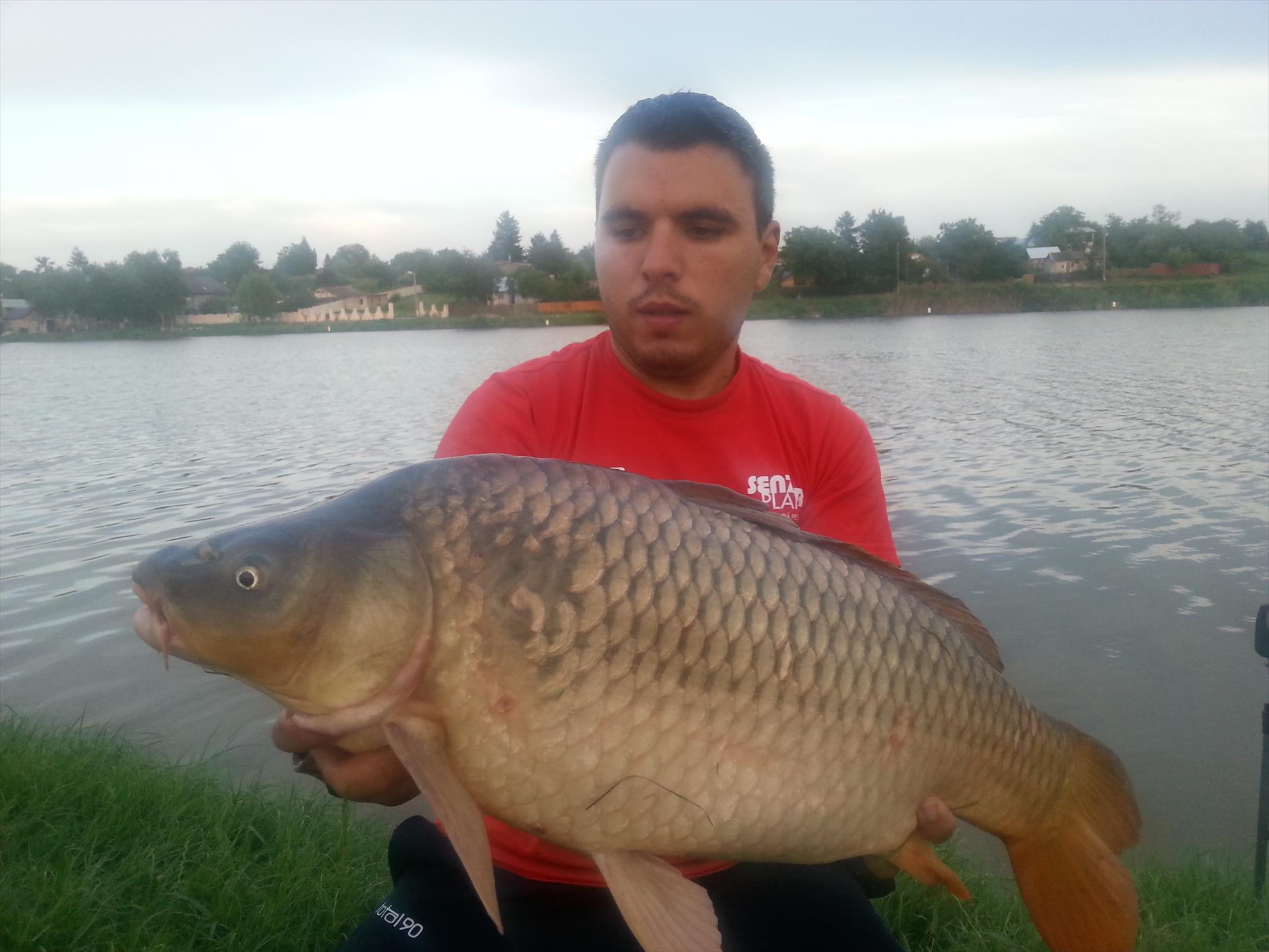 Moara Vlasiei 2 15 - 16 iulie 2014 - 20140715202650.jpg